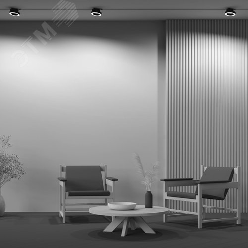 Светильник трековый Rim Unity 3000K 12Вт 110 град - фото 5