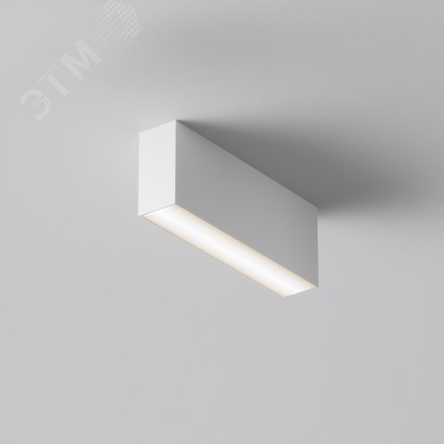 Светильник потолочный Basis LED 12W Белый - фото 2