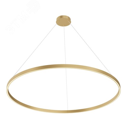 Светильник подвесной Maytoni MOD058PL-L65BSK Латунь - фото 1