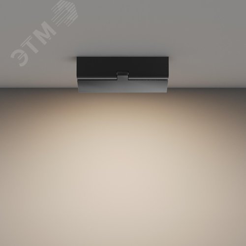 Светильник потолочный Technical C133CL-12W3K-B Черный - фото 6