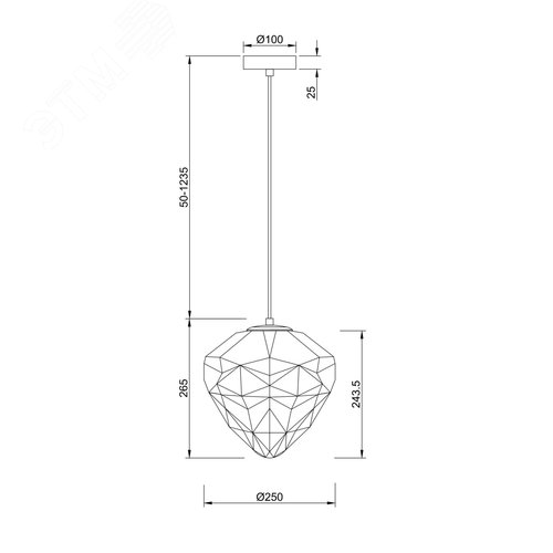 Светильник подвесной Maytoni P053PL-01PK Хром - фото 3