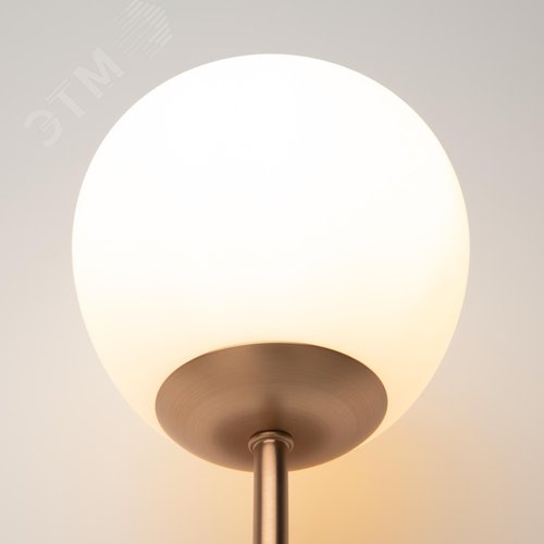 Светильник настенный (бра) Maytoni MOD221-WL-01-G Латунь - фото 2