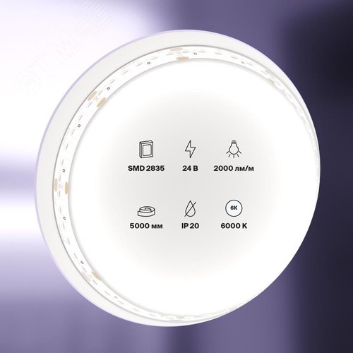 Лента светодиодная 24В 2835 20Вт/м 6000K 5м IP20 - фото 2