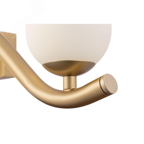 Светильник настенный (бра) Maytoni MOD059WL-05G Золото - фото 2