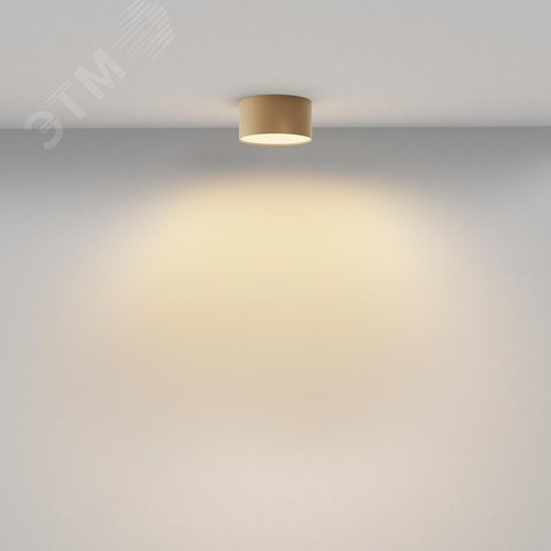 Светильник потолочный Zon LED 12W Матовое Золото - фото 3