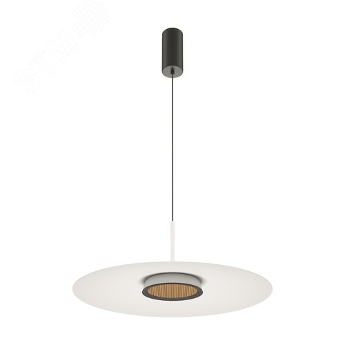 Светильник подвесной El LED 12W Черный - фото 5