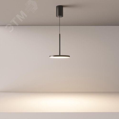 Светильник подвесной Plato LED 12W Черный - фото 5