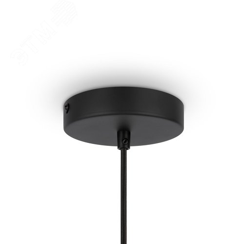 Светильник подвесной Roots E27х1х40W Черный - фото 5