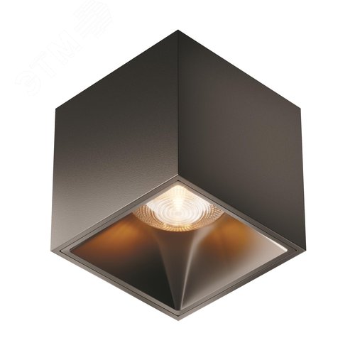 Светильник потолочный Alfa LED LED 12W Черный - фото 2