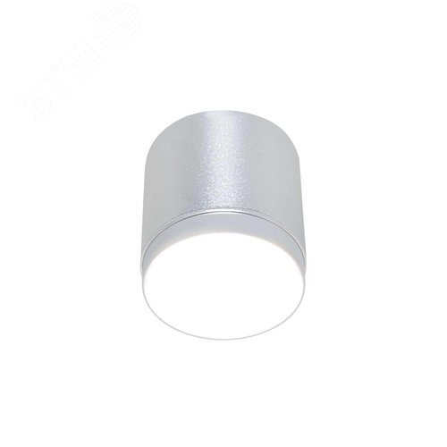 Светильник потолочный Polar GX53х1 Серебро - фото 1