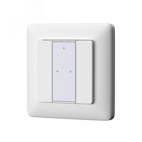 Панель настенная 2-х кнопочная DALI - фото 1