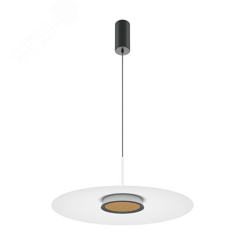 Светильник подвесной El LED 12W Черный - фото 1