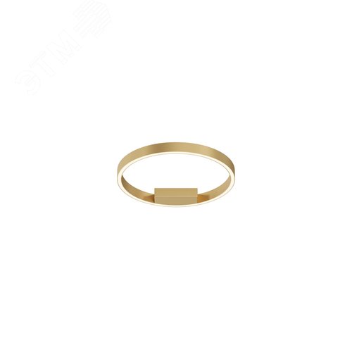 Светильник потолочный Rim LED 24W Латунь - фото 1