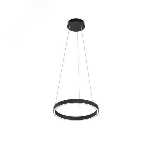 Светильник подвесной Rim LED 24W Черный - фото 1