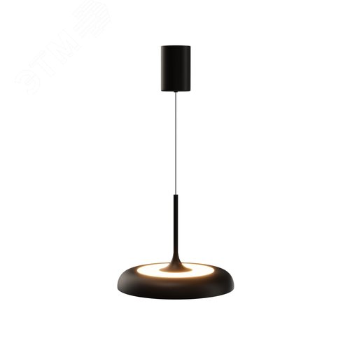 Светильник подвесной Gerhard LED 39W Черный - фото 1