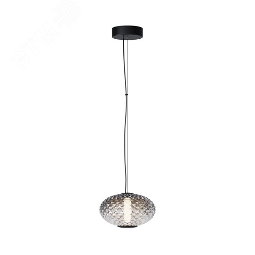 Светильник подвесной Bruma LED 10W Черный - фото 1