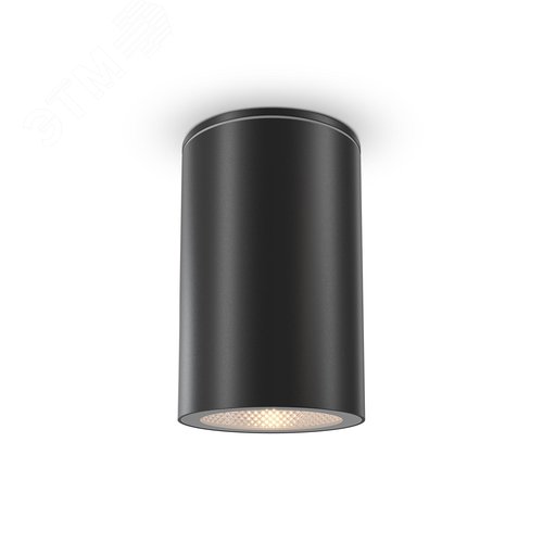 Светильник потолочный Outdoor Roll IP 54 GU10х1х50W Черный - фото 2