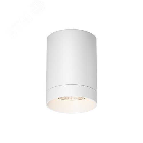Изображение товара Светильник потолочный Outdoor Luxe IP 65 LED 10W 3000 K Белый (шт)