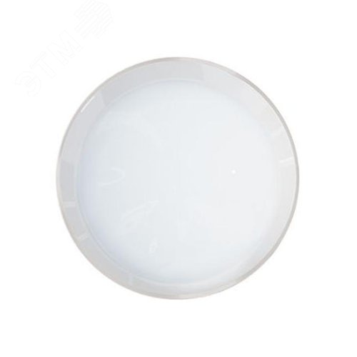 Светильник светодиодный TLR02 OL 01 7w 800Лм 4000К IP65 - фото 3