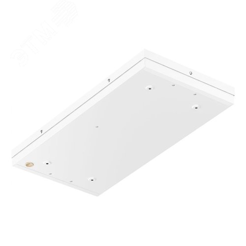 Светильник TL254 OL IP54 - фото 2