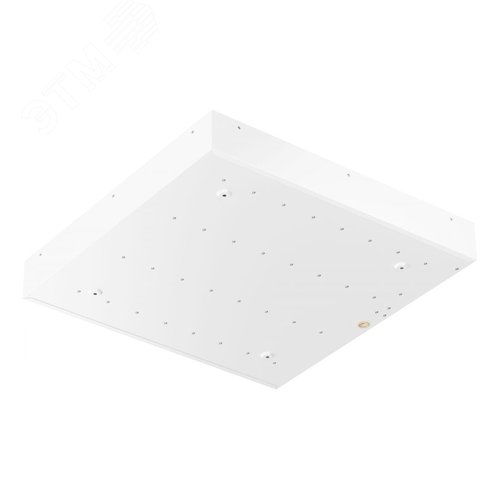 Светильник светодиодный TL04 OL ECP 8230 - фото 2