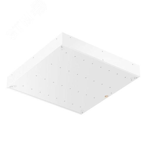 Светильник светодиодный TLGR04 OL ECP 5045 - фото 2