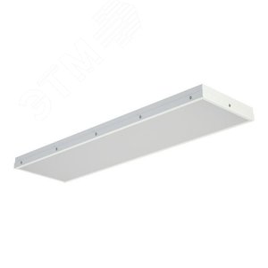 Светильник светодиодный TL06 OL ECP EM1 IP54 - фото 1
