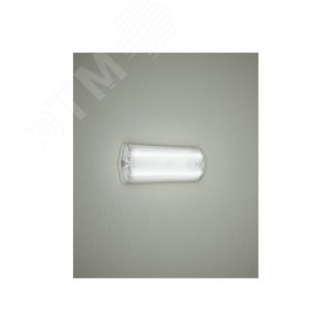 Светильник TLM 1xE27 CL IP65 - фото 2
