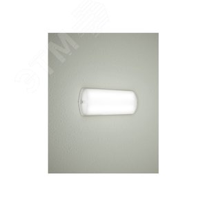 Светильник TLM 1xE27 CL IP65 - фото 6