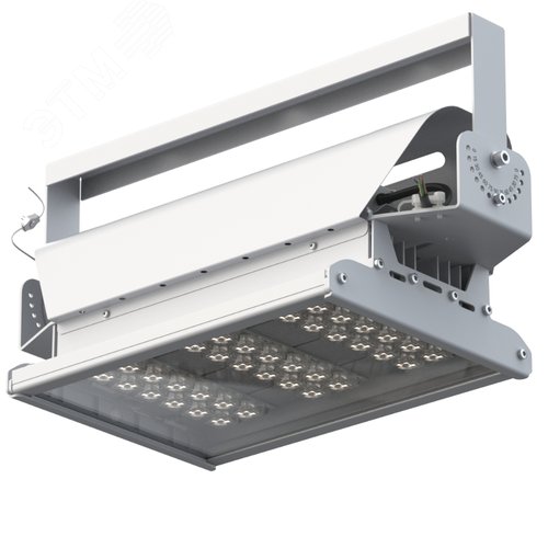 Светильник светодиодный ДО-80Вт Эверикс LED-80-АС5.1-IP66-УХЛ11/LIRA/740/RAL7035/TG/AC230/D/Х/G1 - фото 2