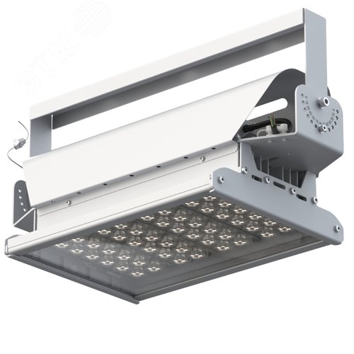 Светильник светодиодный ДО-100Вт Эверикс LED-100-Г60.4-IP66-УХЛ11/LIRA/740/RAL7035/TG/AC230/D/Х/G1 - фото 2