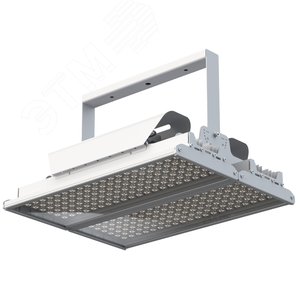 Светильник светодиодный ДО-500Вт Эверикс LED-500-Э30х90.4-IP66-У12/LIRA/840/RAL7035/TG/AC230/D/Х/G1 - фото 1