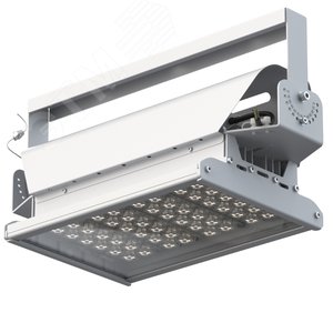 Прожектор светодиодный ДО-100 Вт Эверикс LED-100-К20.4-IP66-УХЛ11/LIRA/740/RAL7035/TG/AC230/E/Х/G1 - фото 1