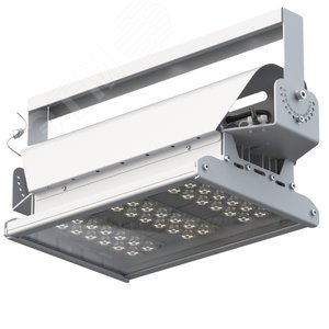 Светильник светодиодный ДО-80Вт Эверикс LED-80-Э30х90.4-IP66-У11/LIRA/740/RAL7035/TG/AC230/D/Х/G1 - фото 1