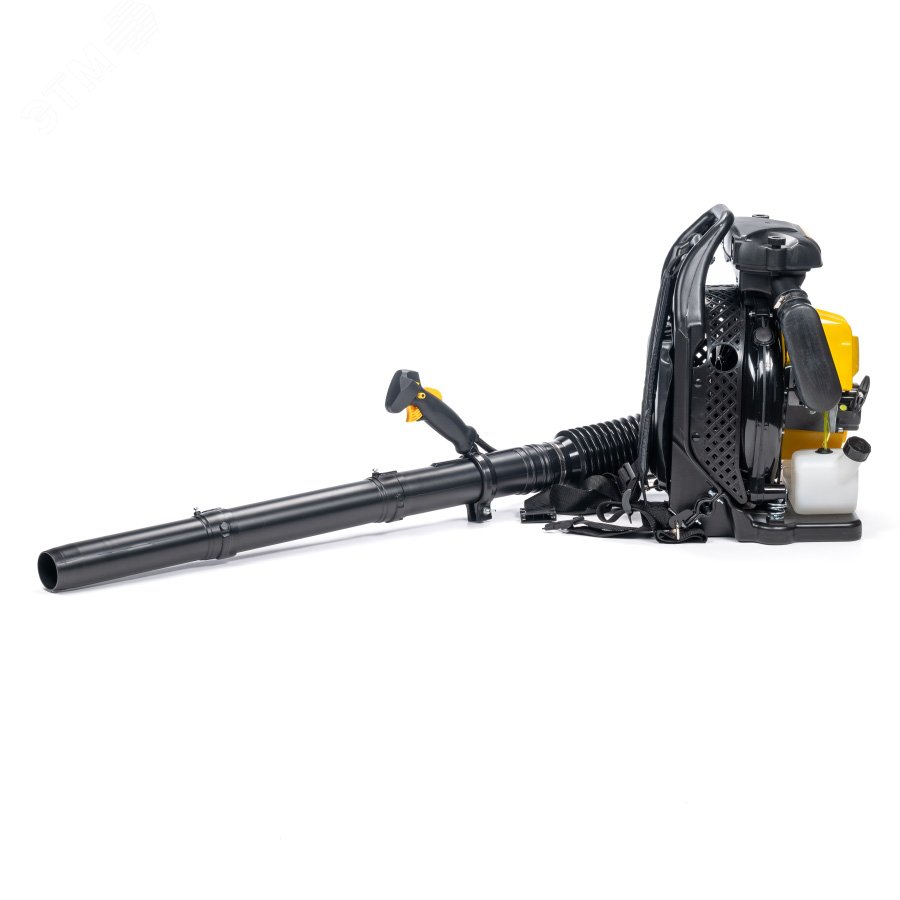 Изображение товара Воздуходувка Champion GBR376 2,7кВт для уборки