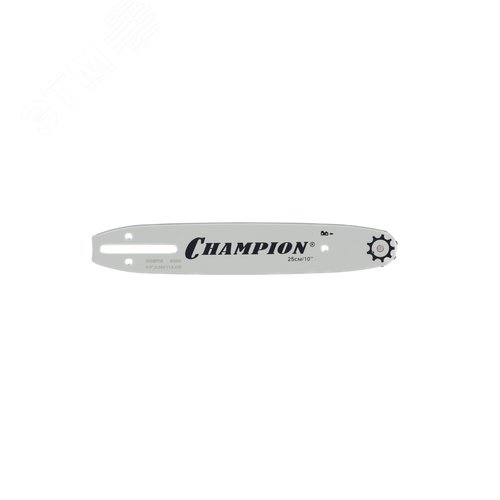 Изображение товара "Шина 10""-3/8-1,3-40 (Ch125T,CSB1811,PBB400,E260TES 100SDEA041)" (шт)