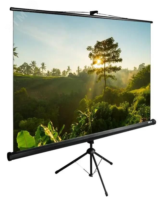 Изображение товара Экран напольный рулонный 200x200 см TriExpert черный разделитель помещения