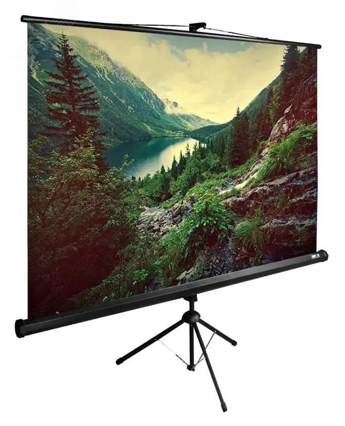 Изображение товара Экран напольный рулонный 220x220см TriExpert 1:1, черный (шт)