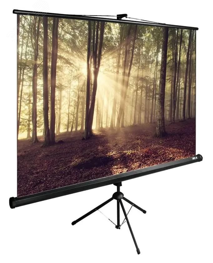 Изображение товара Экран напольный рулонный TriExpert 135x180см 4:3 черный