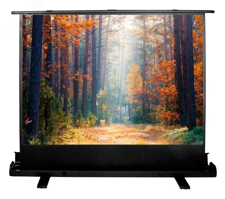 Изображение товара Напольный рулонный экран Cactus FloorExpert 135x180 см 4:3