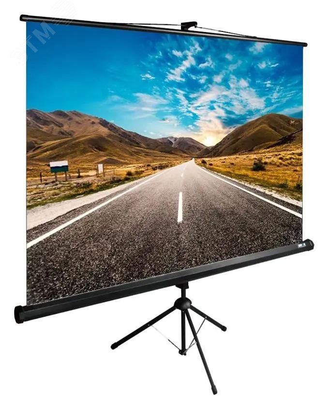 Изображение товара Экран напольный рулонный 160x160 см TriExpert черный