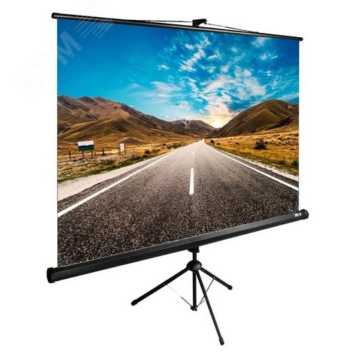 Изображение товара Экран напольный рулонный 160x160см TriExpert 1:1, черный (шт)