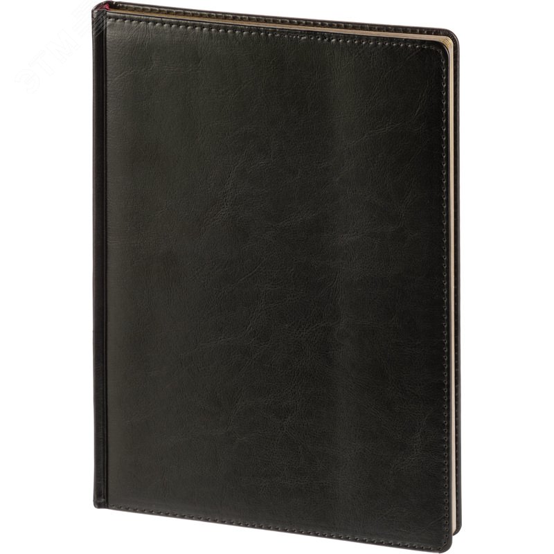 Изображение товара Ежедневник недатированный Attache Sidney Nebraska искусственная кожа А4 136 листов черный (золотистый обрез) (шт)