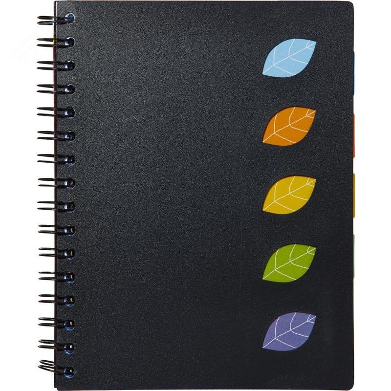 Изображение товара Бизнес-тетрадь Attache Office Creative А5 120 листов черная в клетку 5 разделителей на спирали (167х210 мм) (шт)