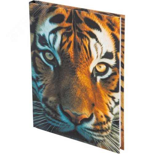 Изображение товара Ежедневник недатированный Attache Economy Взгляд тигра7БЦ Soft Touch А5 128 листов с рисунком (шт)