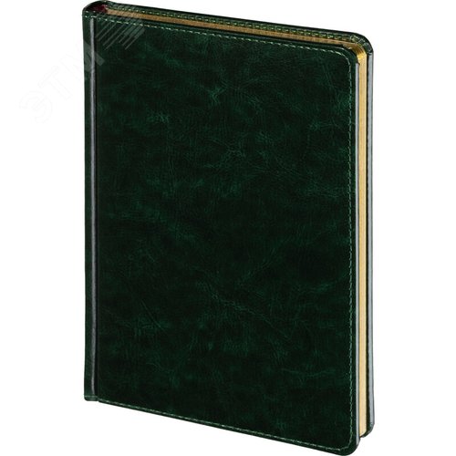 Изображение товара Ежедневник недатированный Альт Sidney Nebraska искусственная кожа A5 136 листов зеленый (золотистый обрез) (шт)