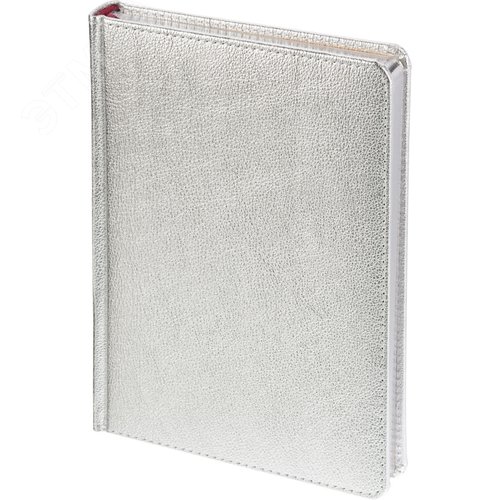 Изображение товара Ежедневник недатированный Bruno Visconti Sidney Nebraska искусственная кожа А5 136 листов серебристый (серебристый обрез) (шт)