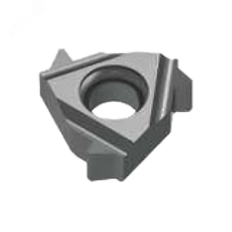 Изображение товара Пластина резьбовая для наружной резьбы правая 22ER 3.00SAGE, NRG25U (шт)