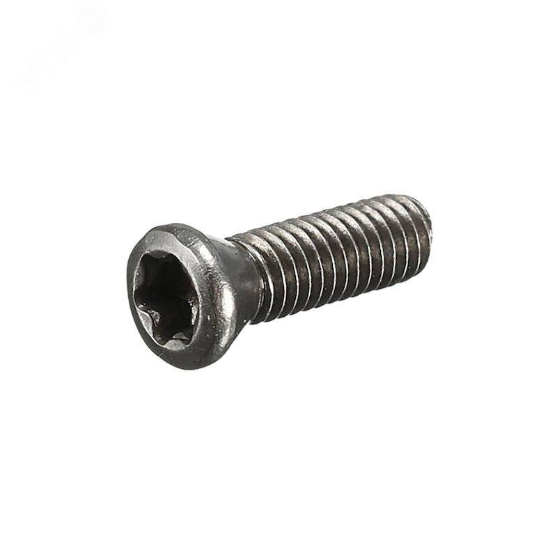 Изображение товара Винт пластины M4x11, T15 (шт)