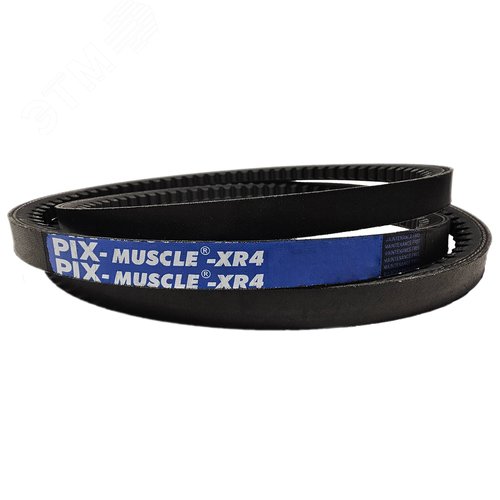 Изображение товара Ремень клиновой узкий усиленный XPB 3250Lw MUSCLE XR4 EPDM PIX Transmissions Ltd. (шт)